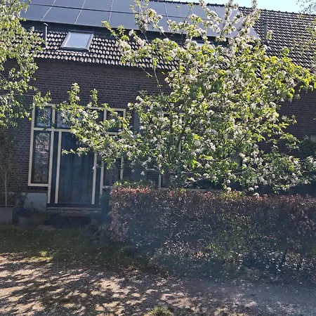 De Groene Slaper Lägenhet