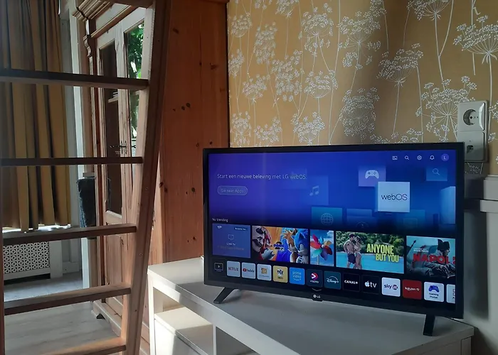 Daire De Groene Slaper *