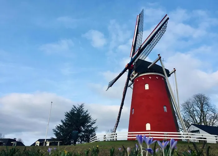 Daire De Groene Slaper